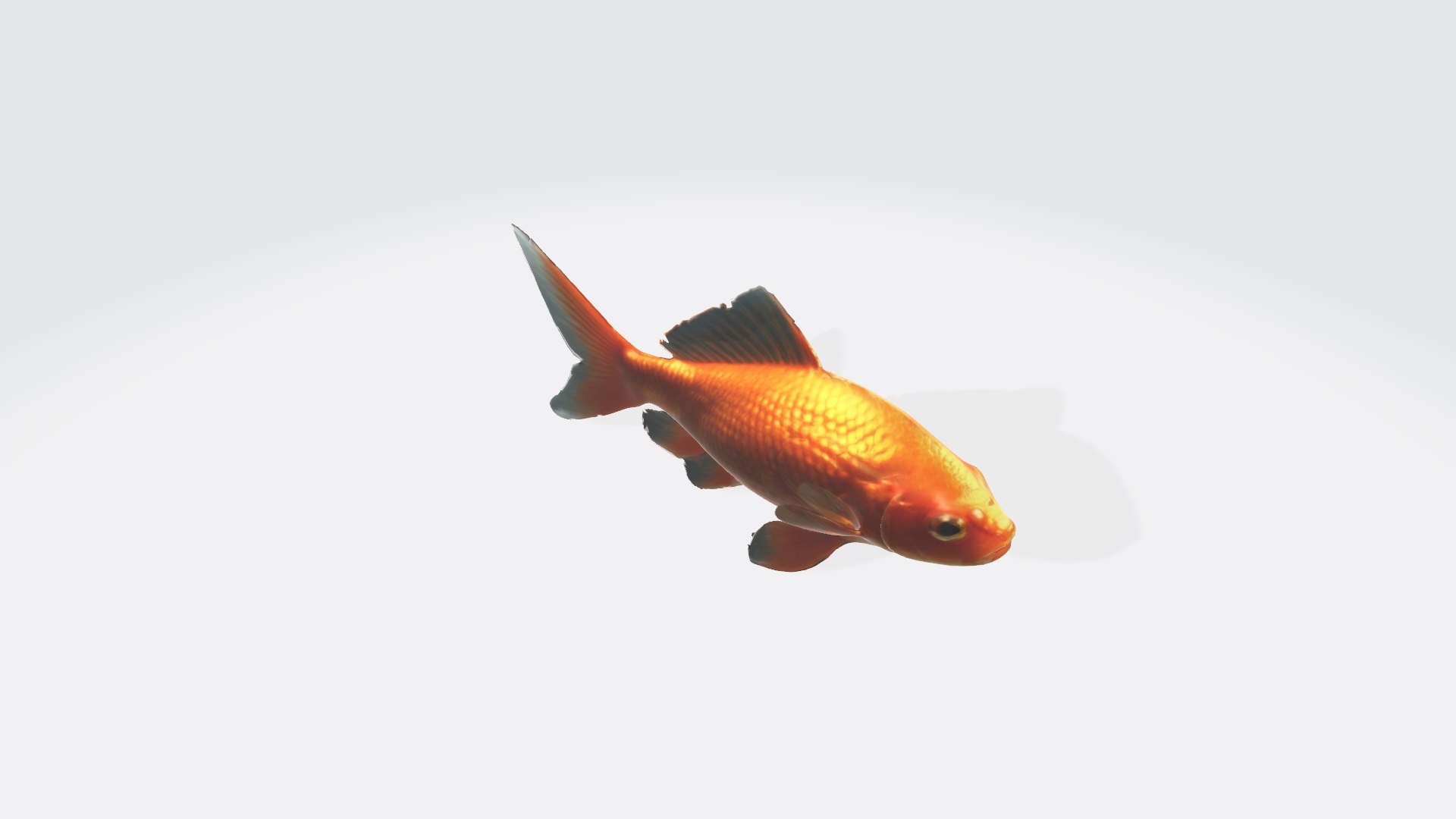 Gold Fish Realistic 3d Model High Resulation Model - TurboSquid 2351562