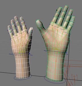 3d rigged male hand