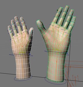 rigged hands hand male man