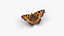 Low polygon butterfly - Small tortoiseshell