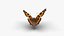 Low polygon butterfly - Small tortoiseshell