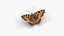 Low polygon butterfly - Small tortoiseshell