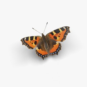 3D Low polygon butterfly - Small tortoiseshell