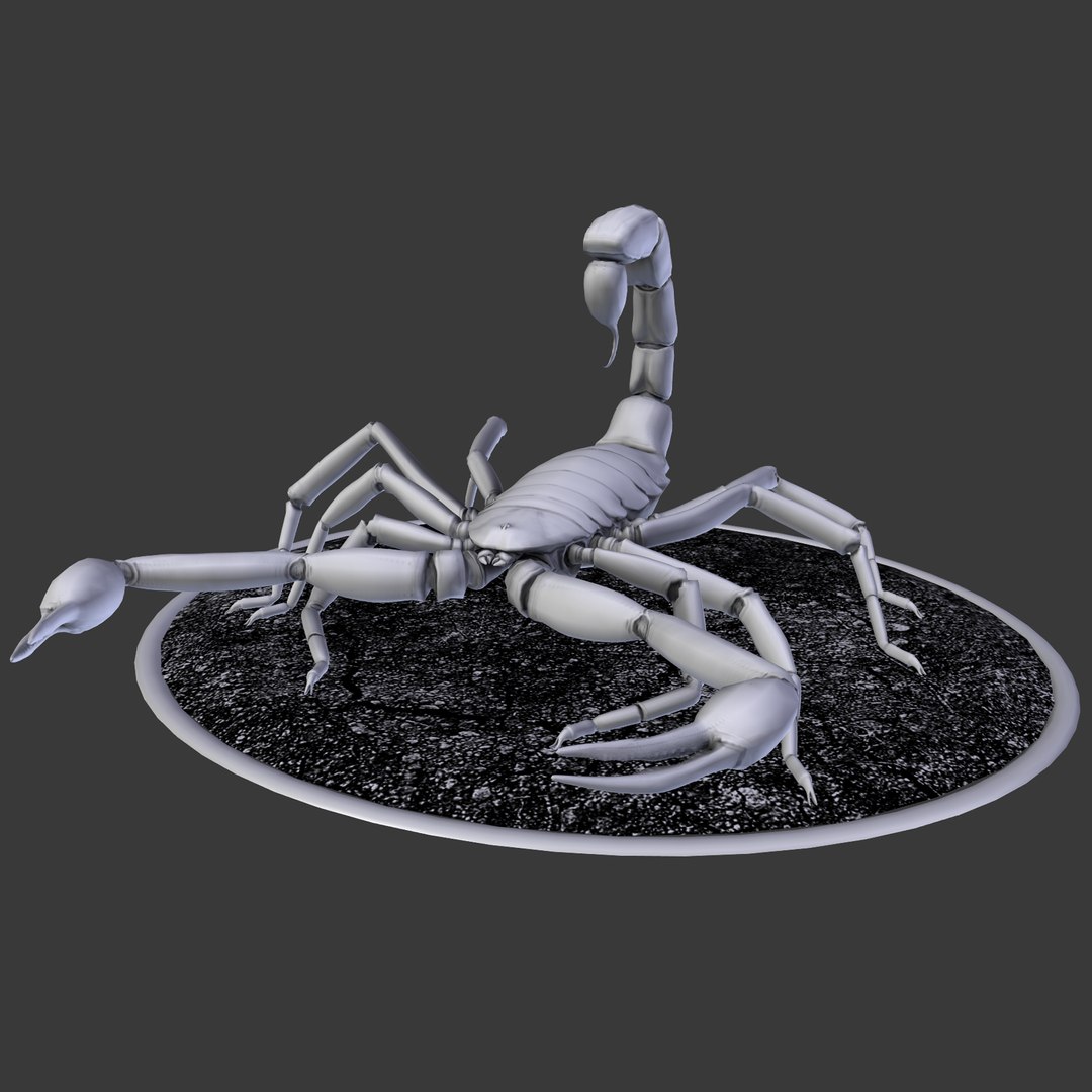 3d scorpion hadrurus arizonensis https://p.turbosquid.com/ts-thumb/Jz/eJ64wh/3lYXEJqh/4/png/1451269120/1920x1080/fit_q87/c16e0577542dd130c5e2aea1256cb72f66770910/4.jpg