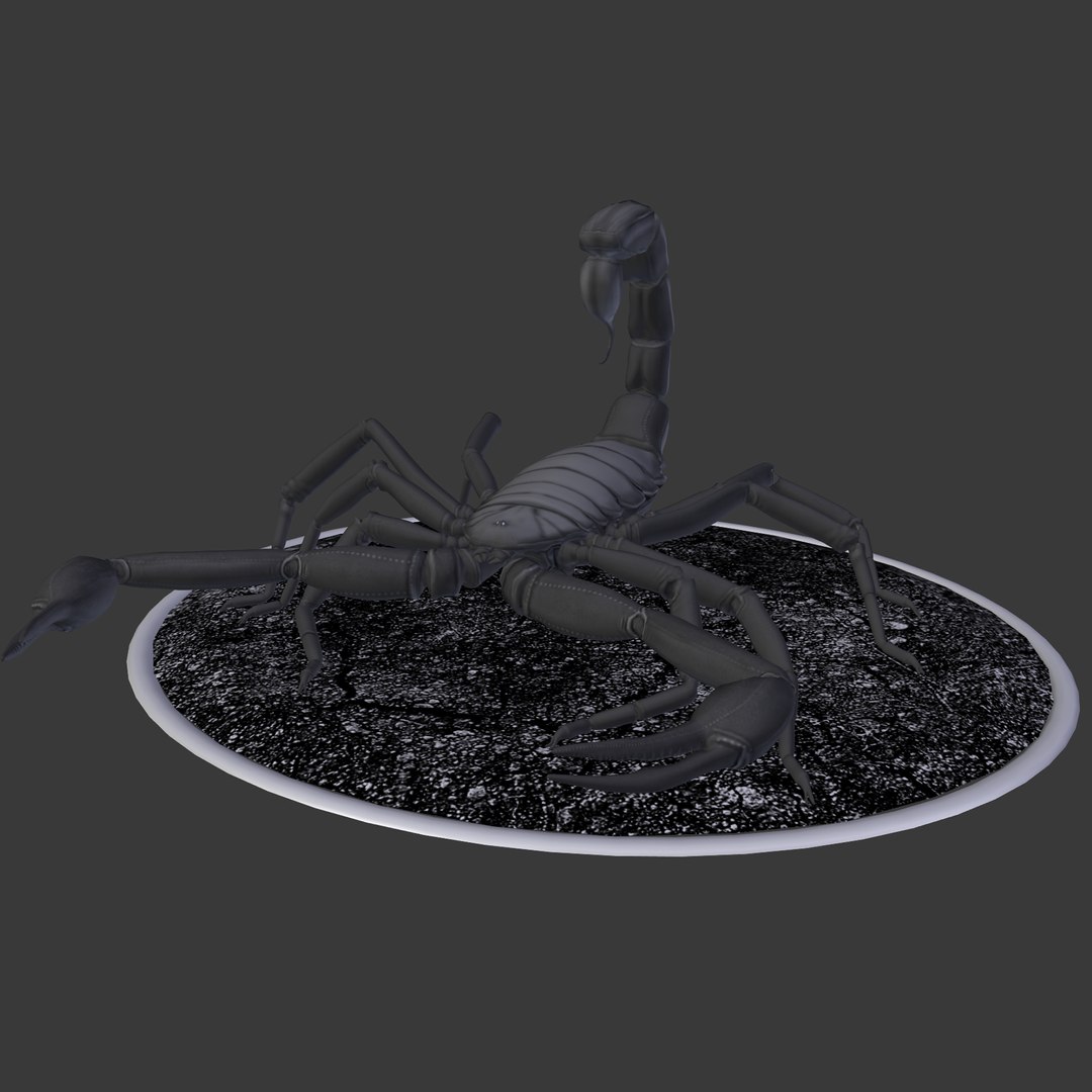 3d scorpion hadrurus arizonensis https://p.turbosquid.com/ts-thumb/Jz/eJ64wh/W1ZxylGI/1/png/1451269120/1920x1080/fit_q87/3cf9f0d60625348a4d07a30d9f3b20f3767b90da/1.jpg
