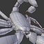 Scorpion (Hadrurus Arizonensis)