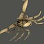 Scorpion (Hadrurus Arizonensis)
