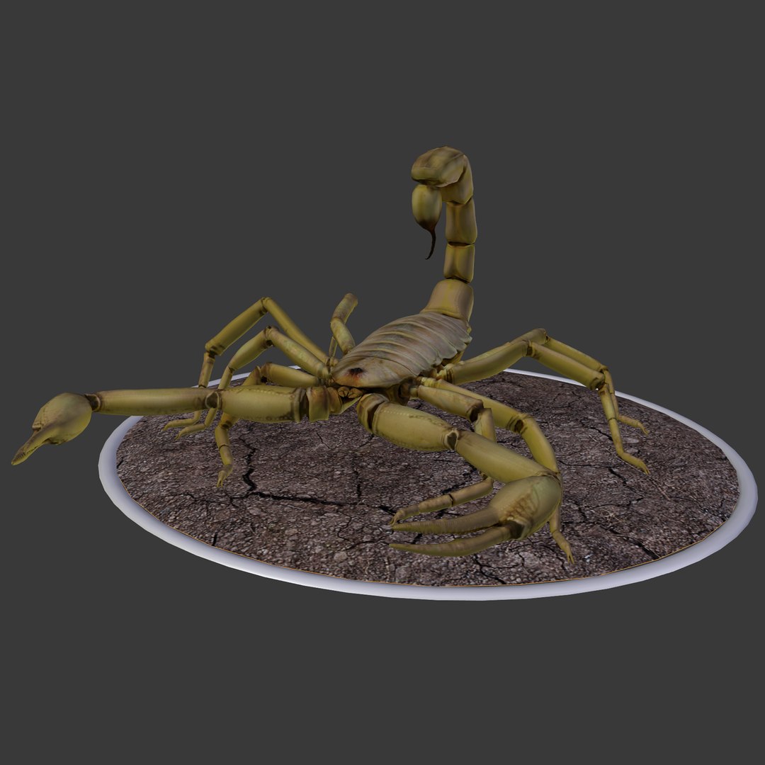 3d scorpion hadrurus arizonensis https://p.turbosquid.com/ts-thumb/Jz/eJ64wh/jX2XfqcZ/3/png/1451269120/1920x1080/fit_q87/7581059d9a2f662ceee25ff34be64e973b25b1e7/3.jpg