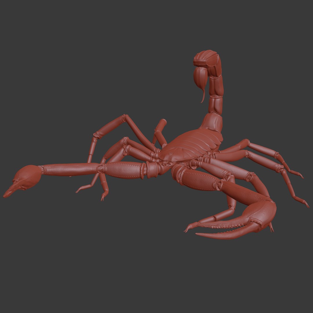 3d scorpion hadrurus arizonensis https://p.turbosquid.com/ts-thumb/Jz/eJ64wh/pZQRf5RS/6/png/1451269120/1920x1080/fit_q87/69fe1b8b5222305fcc2265fde1a6b6cc930385a1/6.jpg
