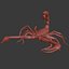 Scorpion (Hadrurus Arizonensis)