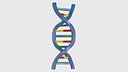 Structure of DNA v2