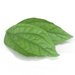 3D Jasmine leafs spice