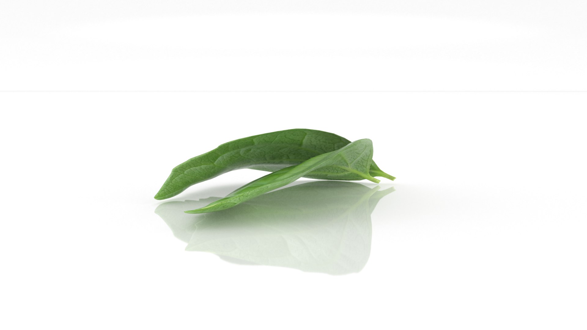 3D Jasmine leafs spice https://p.turbosquid.com/ts-thumb/Jz/iMULA3/wh/32/png/1675862880/1920x1080/fit_q87/9caddafe5c5c1131c6e8a50057c6c46cc6ae2fcc/32.jpg