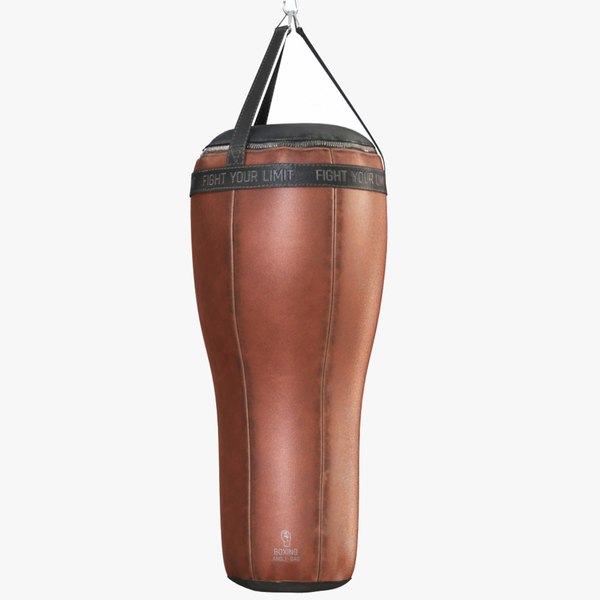 Boxing Angle Bag 3D model