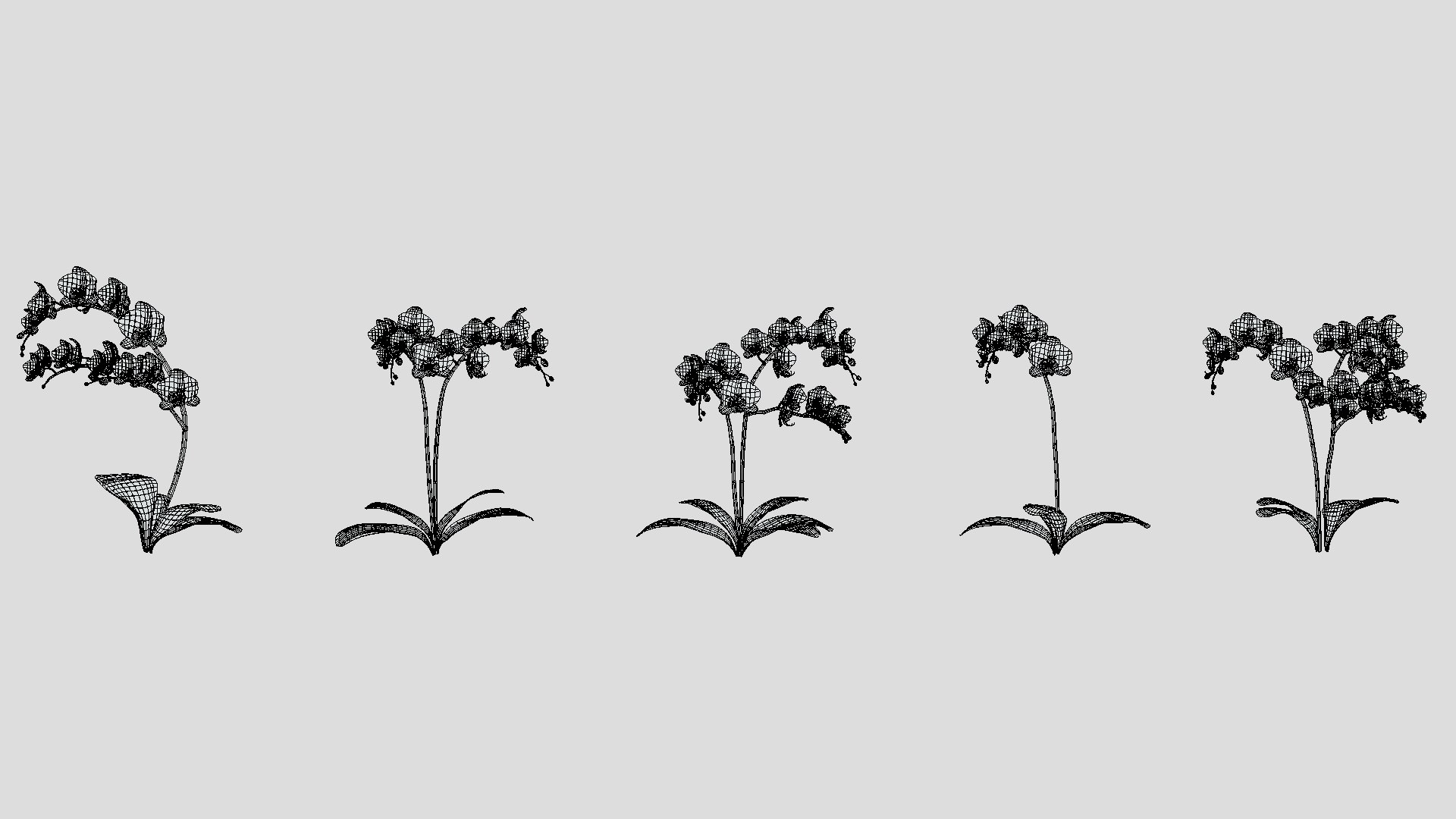 3D Orchid Flower Low Poly https://p.turbosquid.com/ts-thumb/Jz/nR38BU/1H/orchidflowerlowpoly002/jpg/1740739010/1920x1080/fit_q87/b6be1ab8bd8a9f6ce306aa1d4070df83f11c065b/orchidflowerlowpoly002.jpg