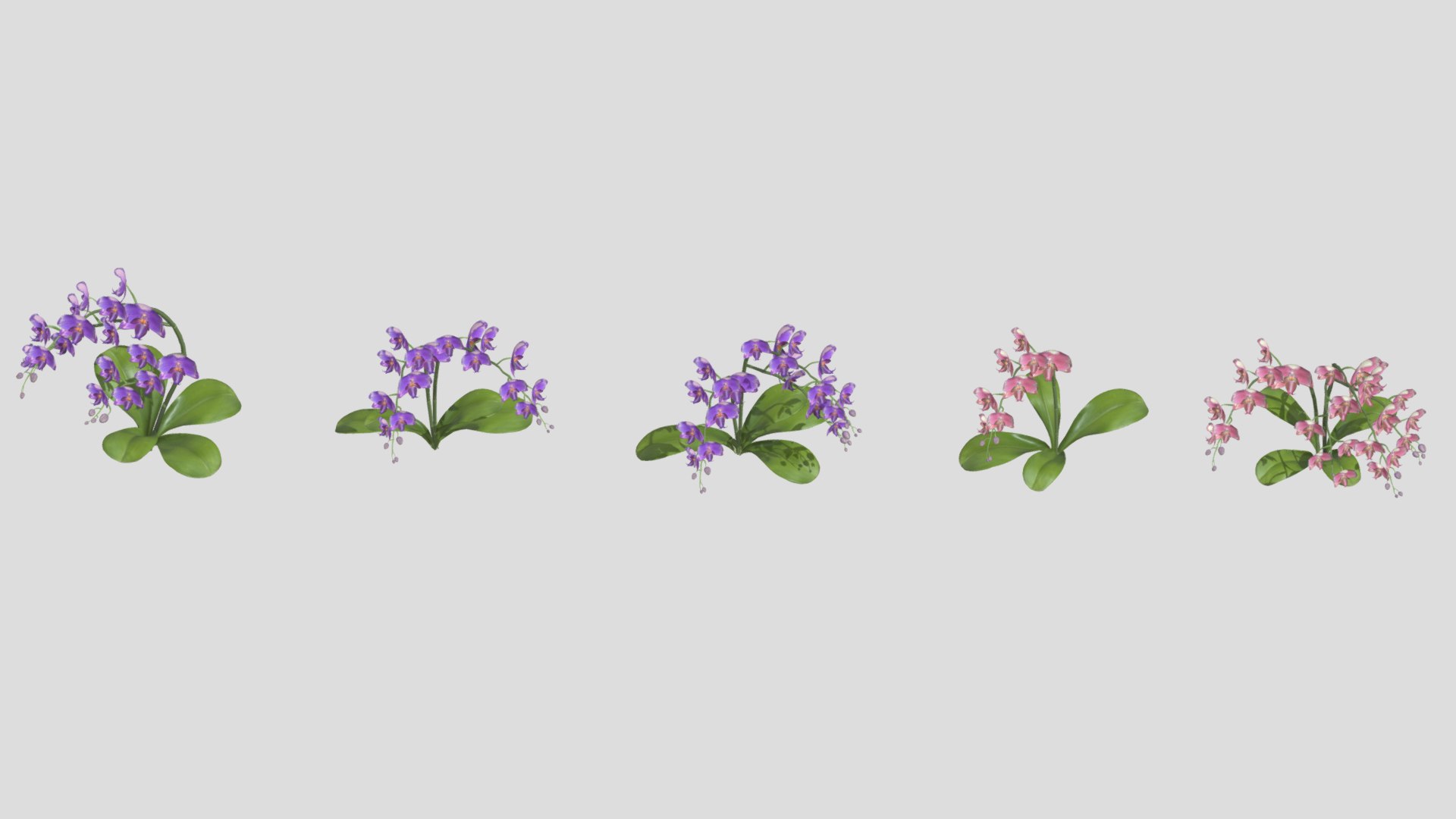 3D Orchid Flower Low Poly https://p.turbosquid.com/ts-thumb/Jz/nR38BU/6p/orchidflowerlowpoly003/jpg/1740739011/1920x1080/fit_q87/1c4fbed018013fd19615088678a6fb43c9a766a9/orchidflowerlowpoly003.jpg