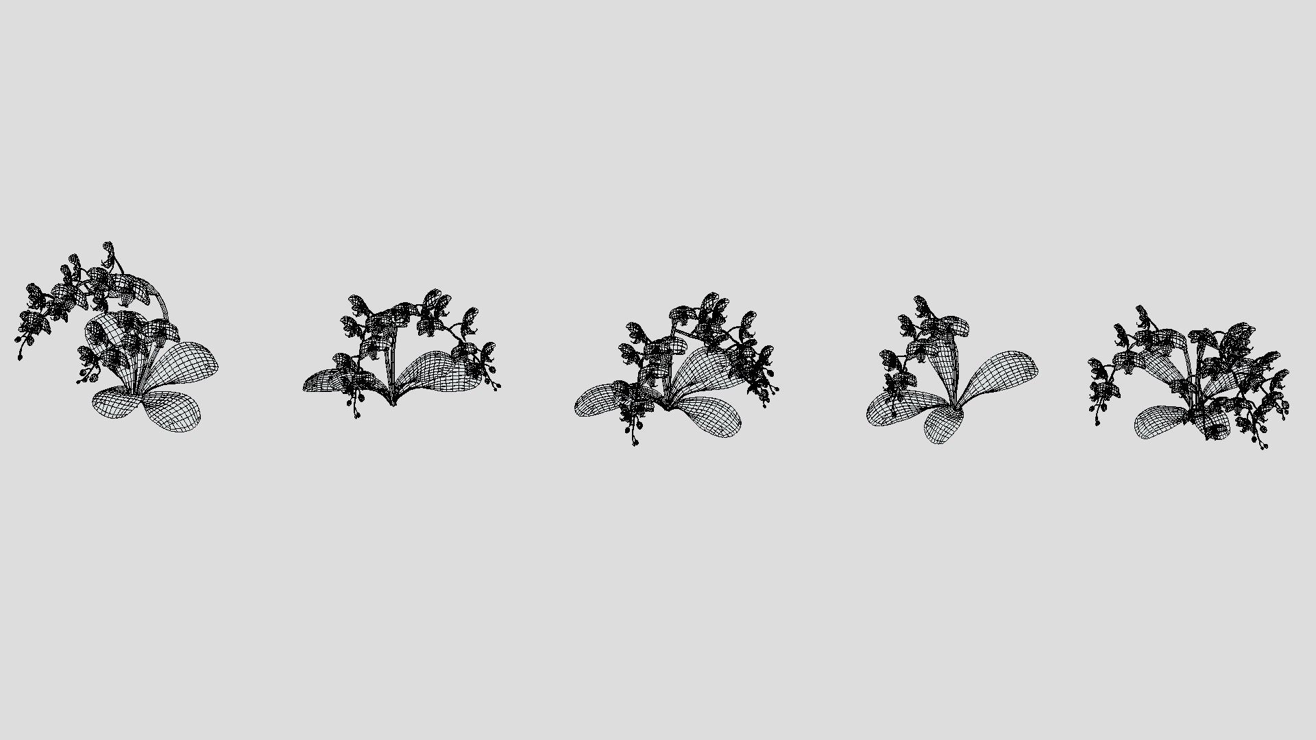 3D Orchid Flower Low Poly https://p.turbosquid.com/ts-thumb/Jz/nR38BU/TX/orchidflowerlowpoly004/jpg/1740739012/1920x1080/fit_q87/278464820e48e0d7caff46e163fc40b69dc1eeee/orchidflowerlowpoly004.jpg