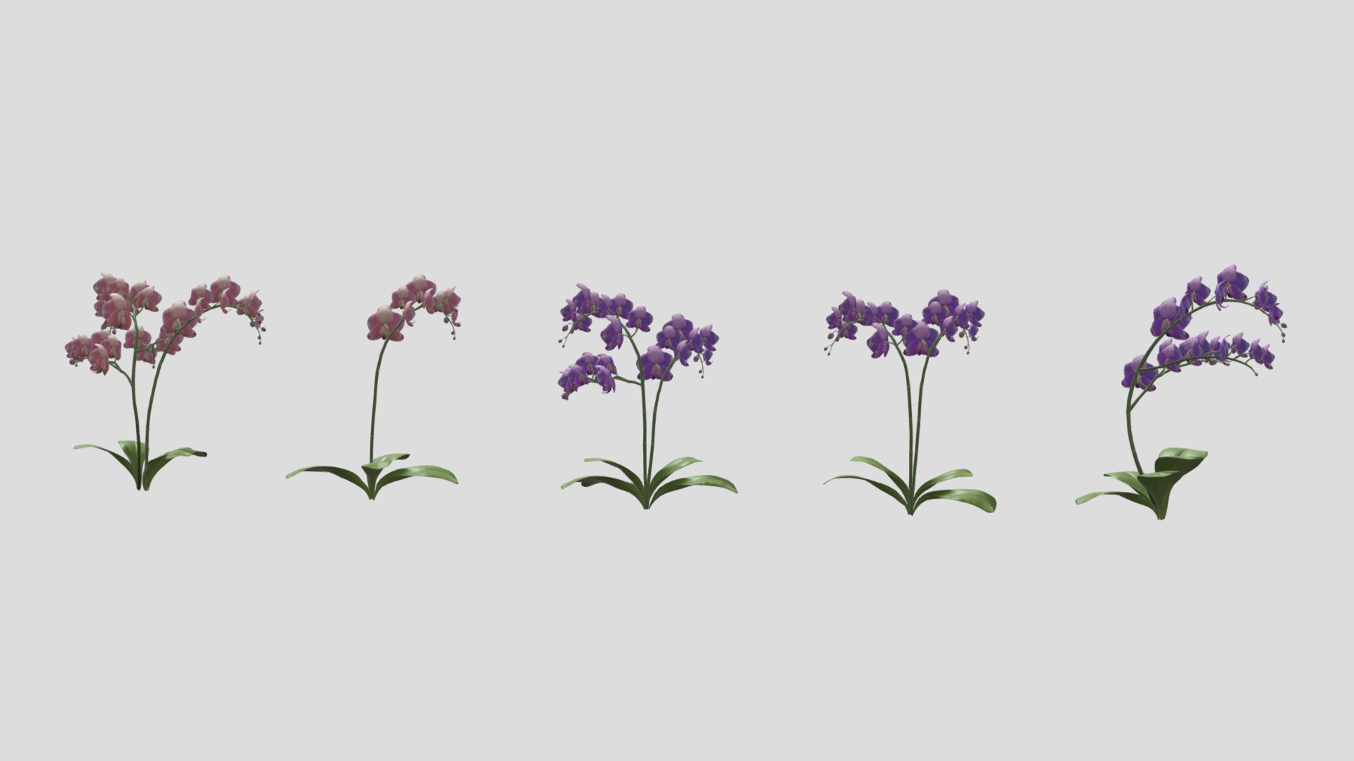 3D Orchid Flower Low Poly https://p.turbosquid.com/ts-thumb/Jz/nR38BU/em/orchidflowerlowpoly009/jpg/1740739017/1920x1080/fit_q87/f0e2815420cc380b9a34ec160997a7b7e4edf9d2/orchidflowerlowpoly009.jpg