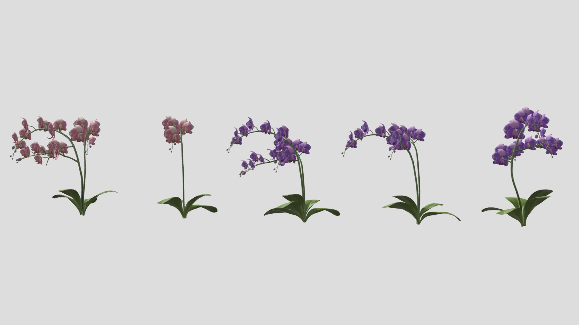 3D Orchid Flower Low Poly https://p.turbosquid.com/ts-thumb/Jz/nR38BU/qU/orchidflowerlowpoly008/jpg/1740739035/1920x1080/fit_q87/b37a886f626a98bbb8cb873adfd2d542b0a21755/orchidflowerlowpoly008.jpg