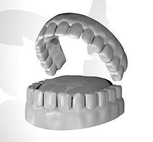 free character tongue 3d model