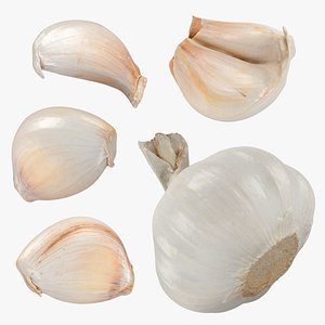 Garlic Collection 2 3D model
