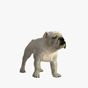 realistic bulldog 3d model