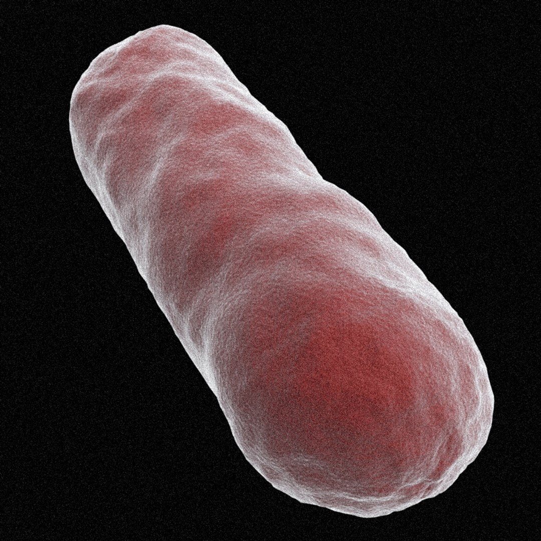 set bacillus bacteria max https://p.turbosquid.com/ts-thumb/K0/95pyEj/qrqYmdbm/bg_05/jpg/1154917922/1920x1080/fit_q87/bcd2bceda28da8b29743c810e28d7a18da3ae319/bg_05.jpg
