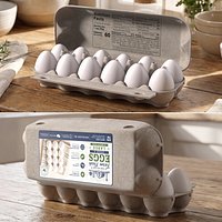 Open Carton with Dozen White Eggs Natural