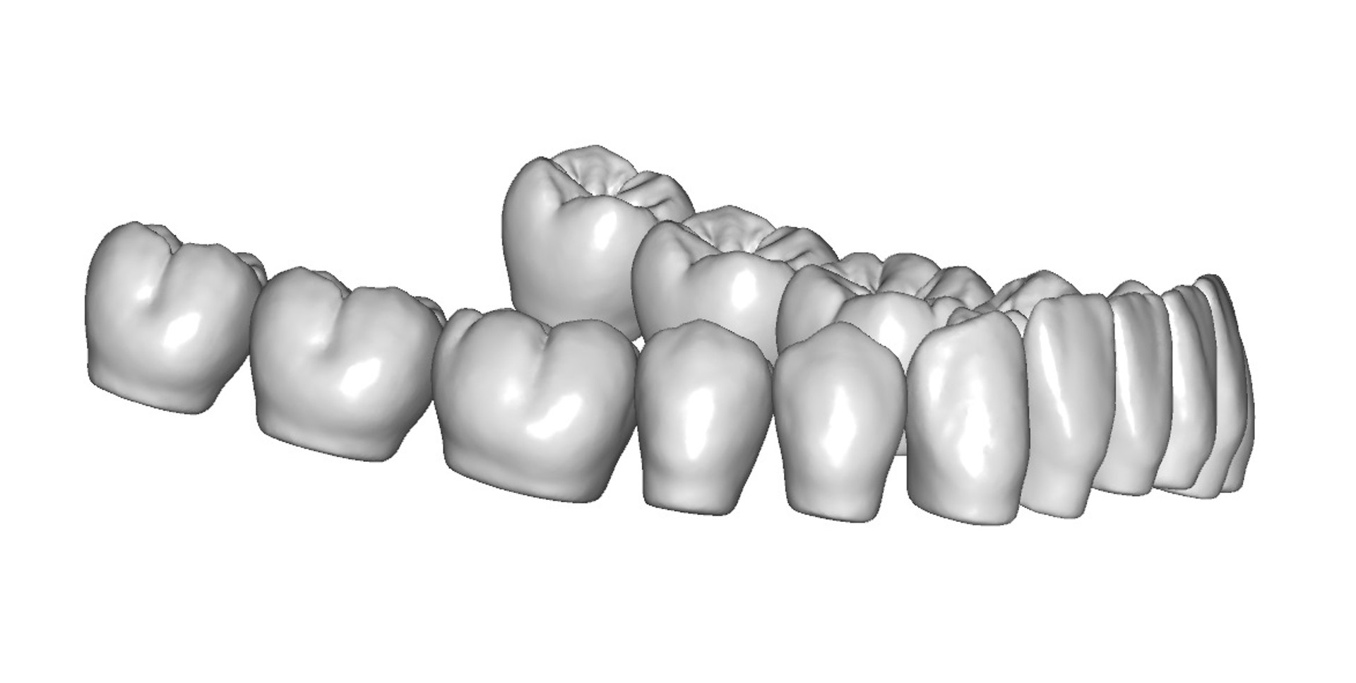 3d Upper Lower Jaw Teeth Anatomy Model