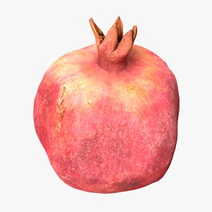 Pomegranate 3D model