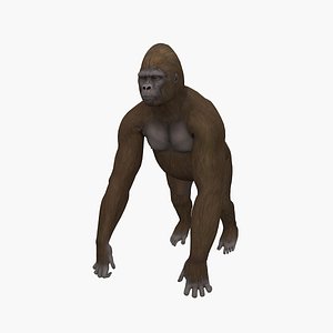 Gorilla 3D model
