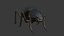 Beetle - Adesmia variolaris - mezcla realista fbx obj y stl imprimible