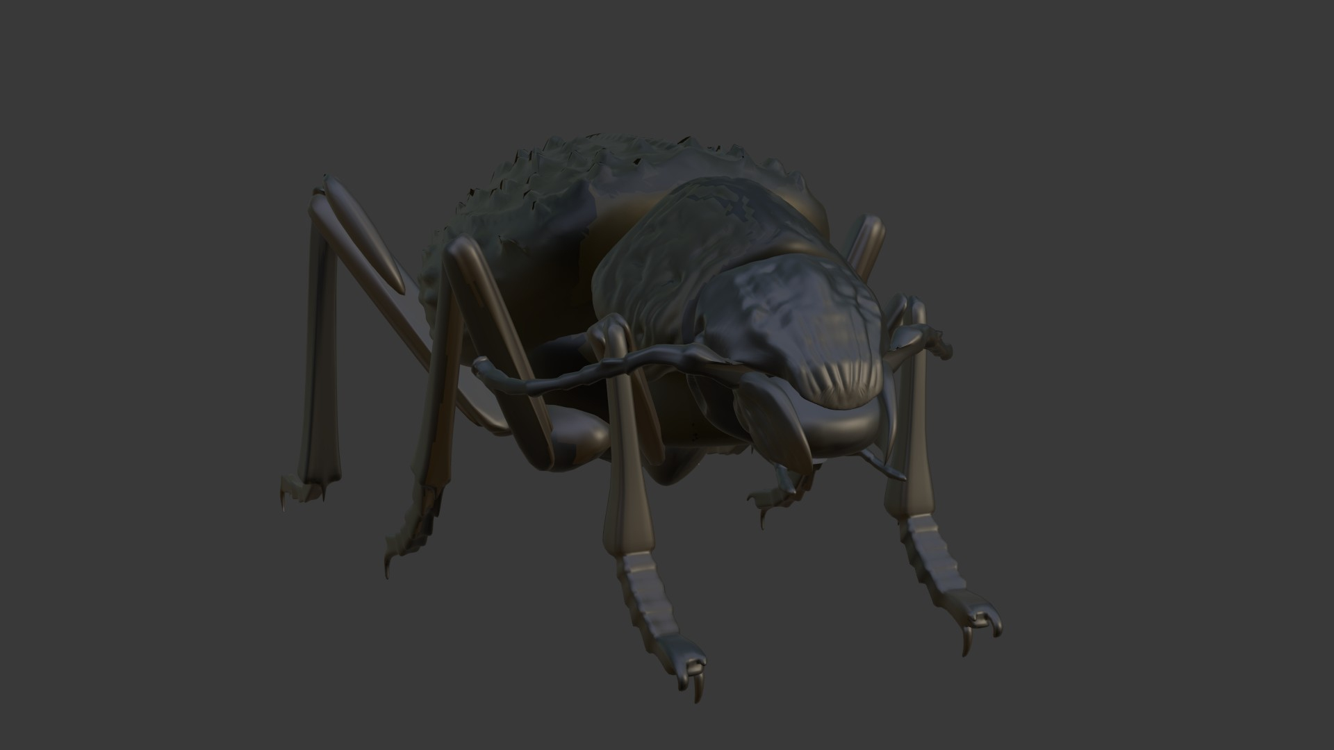 realistic adesmia variolaris stl 3D model https://p.turbosquid.com/ts-thumb/K0/raJ41P/2c/avframe/jpg/1614712893/1920x1080/turn_fit_q99/7bdaa78f4f3f7bba0dfaad411d928205a5e43b29/avframe-1.jpg