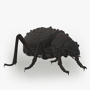 Beetle - Adesmia variolaris - realistic fbx obj blend and printable stl