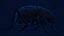 Beetle - Adesmia variolaris - mezcla realista fbx obj y stl imprimible