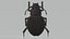 Beetle - Adesmia variolaris - mezcla realista fbx obj y stl imprimible