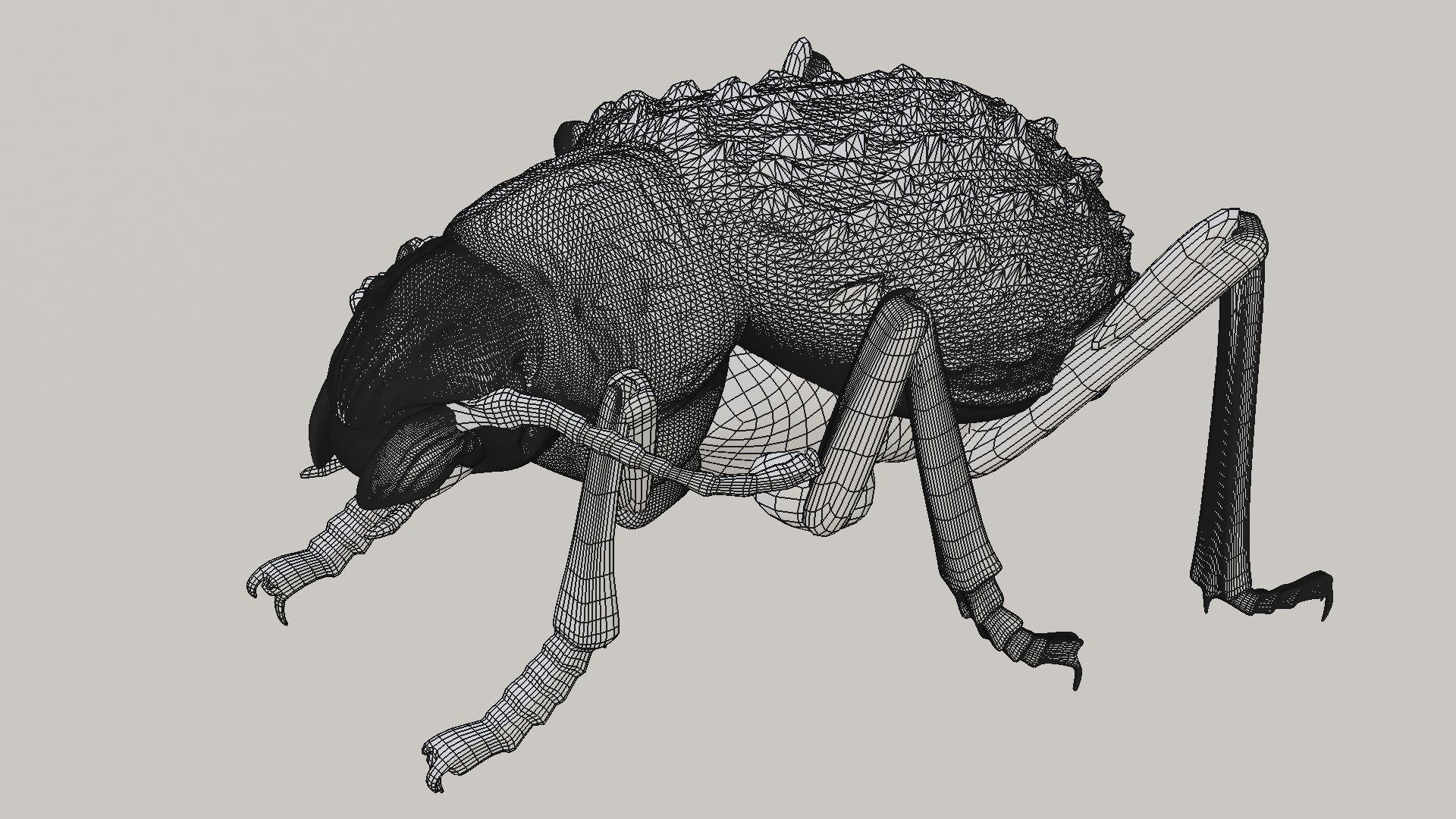 realistic adesmia variolaris stl 3D model https://p.turbosquid.com/ts-thumb/K0/raJ41P/gx/avwireframe/png/1614678849/1920x1080/fit_q87/87042d1fb1c1cfa7a7d64361039c8bb4111acb3a/avwireframe.jpg