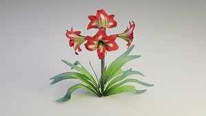 3D Red Amaryllis model