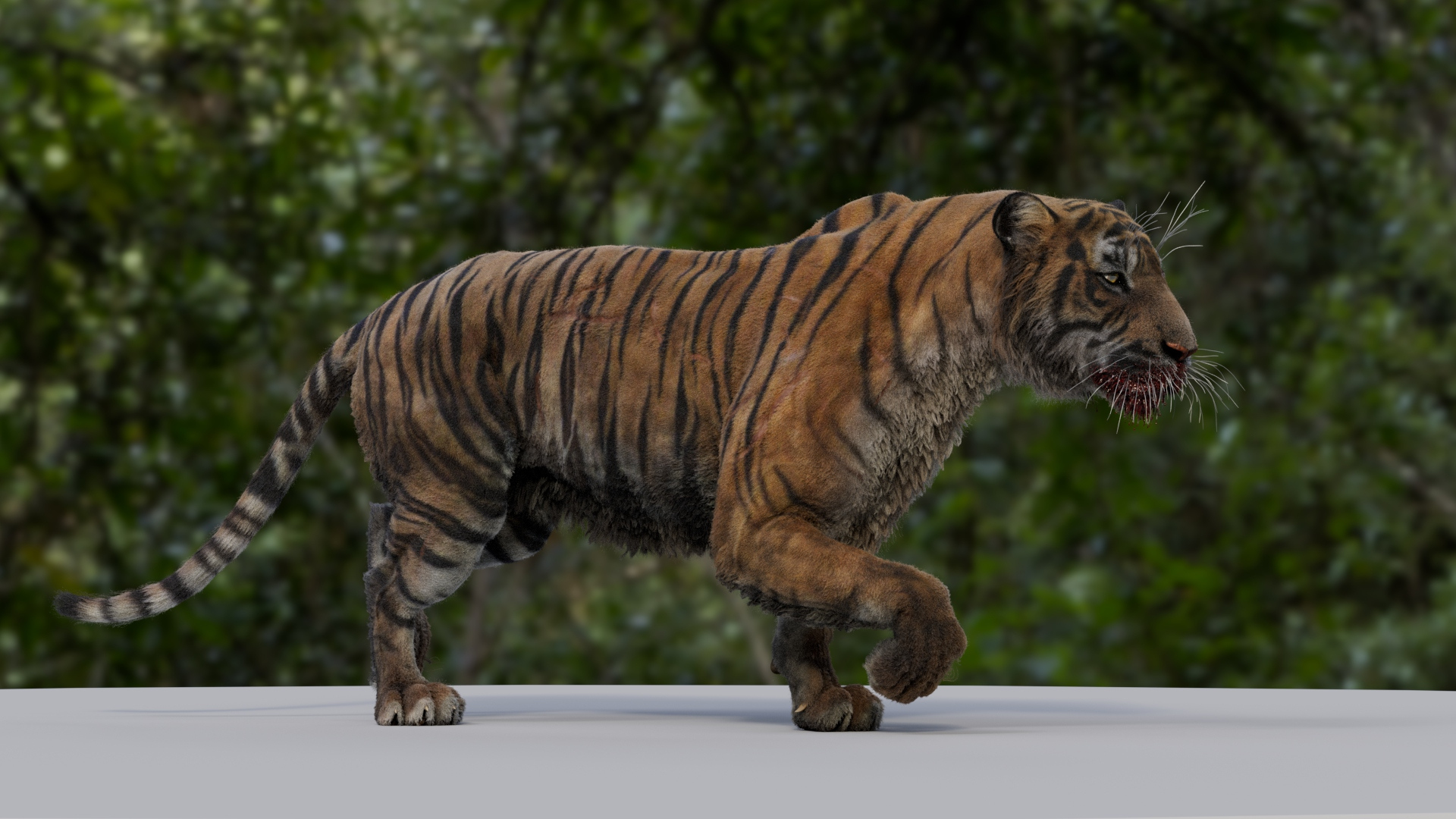 3D Tiger ANIMATION - TurboSquid 2178188