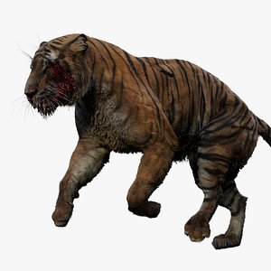 3D Tiger ANIMATION