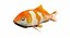 3d model koi carp