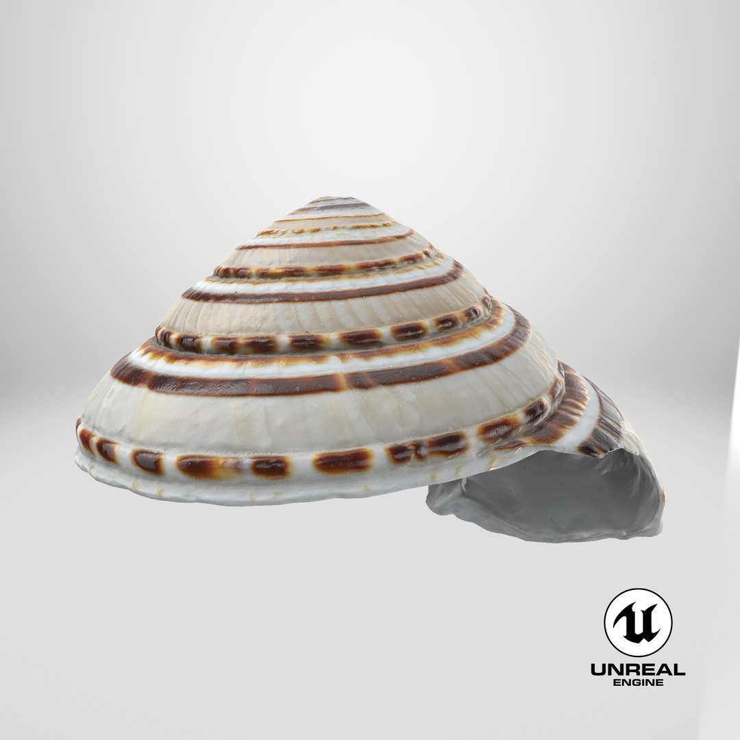 Architectonica Perspectiva 3D https://p.turbosquid.com/ts-thumb/K0/yfXTUr/97/stemcell_unreal_render/png/1741363898/1920x1080/fit_q87/6ed6e4069d566641be06d0c24a8edc6d58983de0/stemcell_unreal_render.jpg