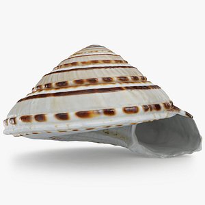 Architectonica Perspectiva 3D