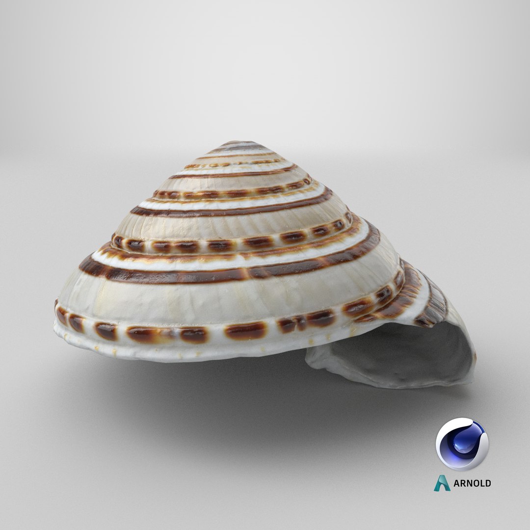 Architectonica Perspectiva 3D https://p.turbosquid.com/ts-thumb/K0/yfXTUr/Sx/stemcell_cinema_4d_arnold_render/png/1741363892/1920x1080/fit_q87/2360a7f639d3f01bbd62008611788aa0e93215b4/stemcell_cinema_4d_arnold_render.jpg