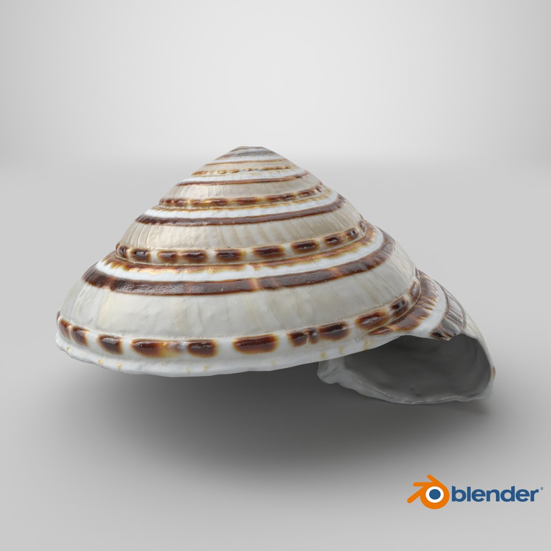 Architectonica Perspectiva 3D https://p.turbosquid.com/ts-thumb/K0/yfXTUr/X1/stemcell_blender_cycles_render/png/1741363886/1920x1080/fit_q87/5630f7637572b738aab1a36263174103bca34188/stemcell_blender_cycles_render.jpg