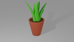 Plants pot