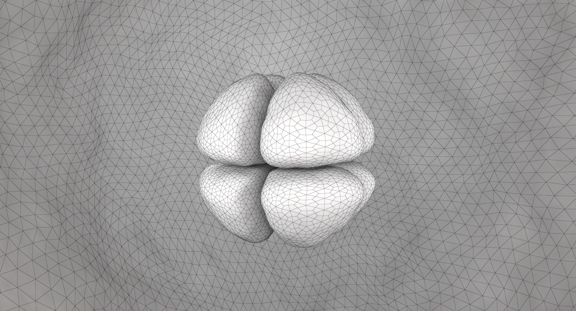 3D Model Cell Stage Embryo - TurboSquid 1369474