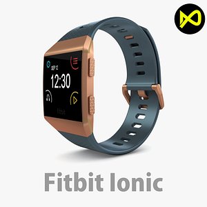Fitbit Ionic Slate Blue