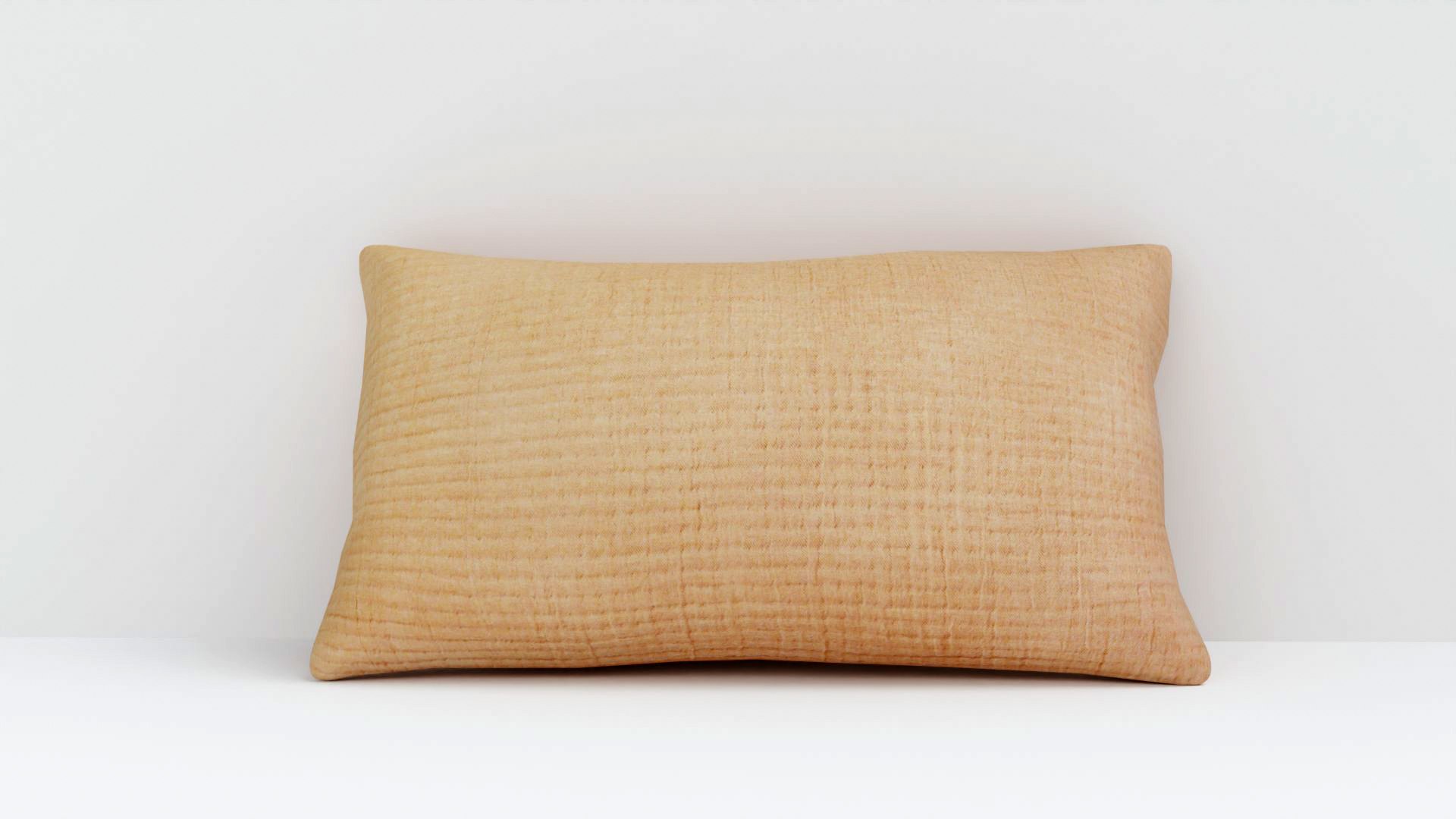 Rectangular Fabric Pillow 3D model https://p.turbosquid.com/ts-thumb/K1/QWZvey/Dw/01/jpg/1790333969/1920x1080/fit_q87/826b95dc84efe620e1e21ca8e657f7305cd361f1/01.jpg