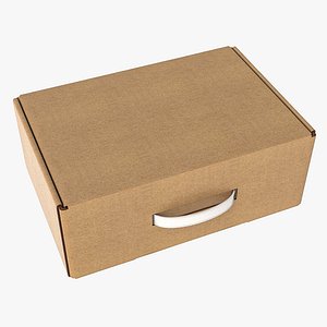 cardboard box with handle